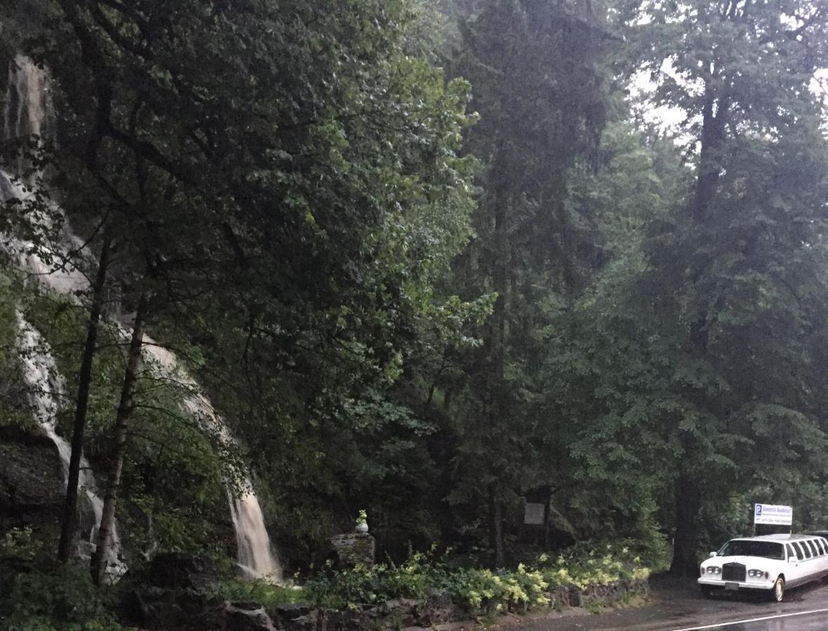 Koenigreich Romkerhall Schulenberg im Oberharz Exteriér fotografie